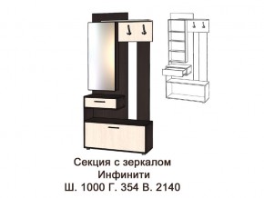 Секция с зеркалом в Добрянке - dobryanka.magazinmebel.ru | фото